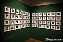 VBS_1328 - Castello di Miradolo - Mostra Oltre il giardino l'Abbecedario di paolo Pejrone
